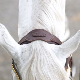 😍 Uzdečka vytvorená v spolupráci s Marlene z „Pinke Ponybande“ spája komfort, funkčnosť a nadčasový dizajn. Vyrobená z...