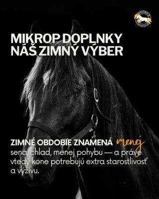 Zima dáva koňom zabrať – menej pastvy, viac sena, chlad, stres, oslabená imunita. Preto sme pre vás vybrali TOP zimné...