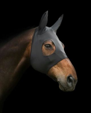 1️⃣5️⃣ deň Pre kone, ktoré potrebujú viac pohody v hlave. 🖤🌿 Back On Track maska s Welltex® ✔ Upokojuje� ✔ Podporuje...